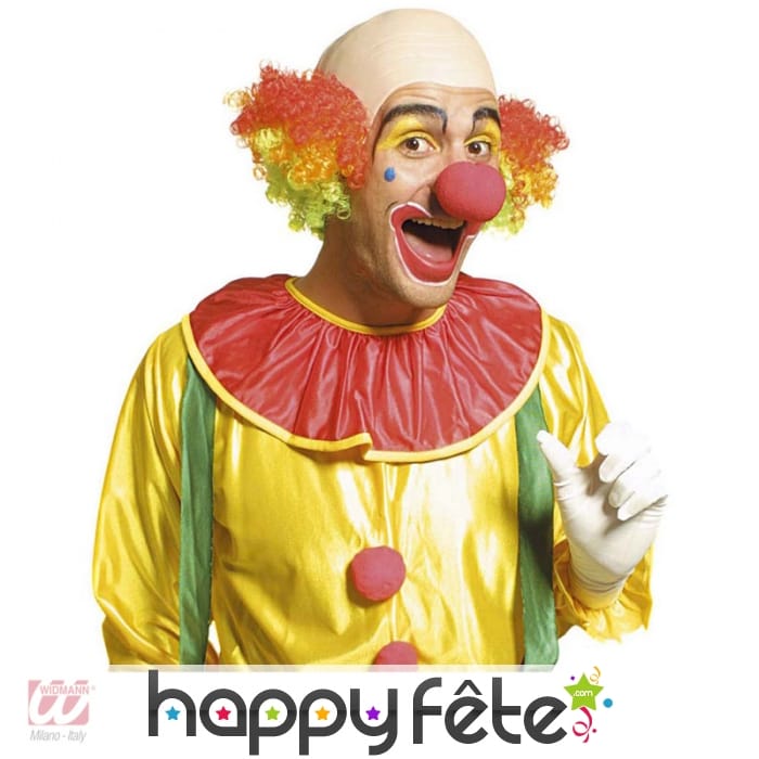 Crâne chauve de clown et cheveux colorés