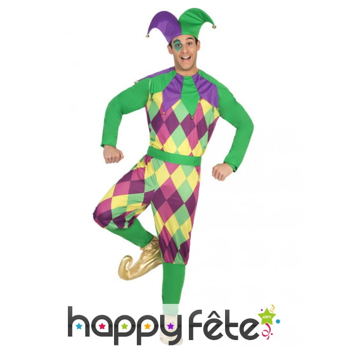 Costume d'arlequin violet vert pour homme