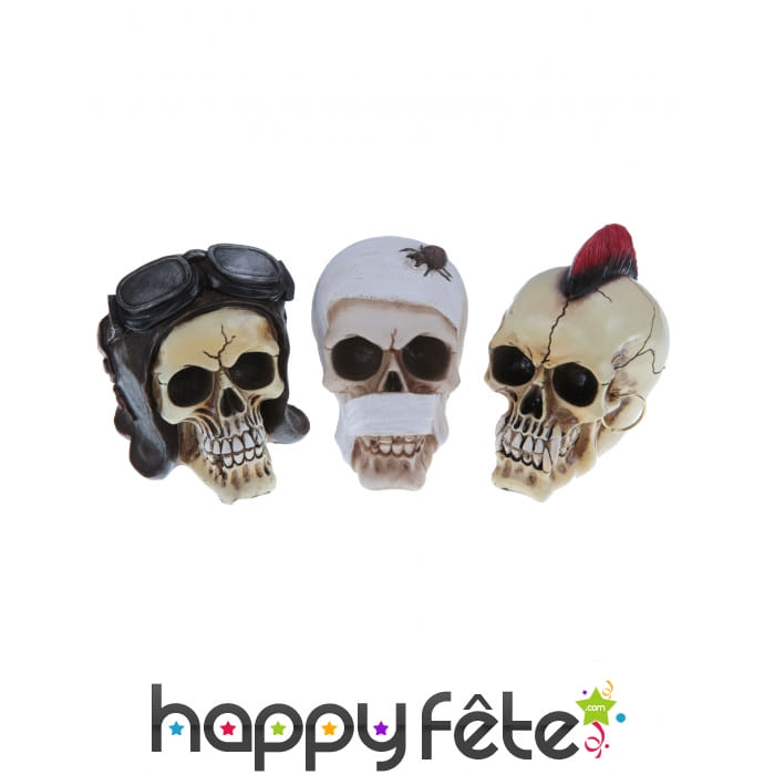 Crâne décoratif aléatoire de 14cm