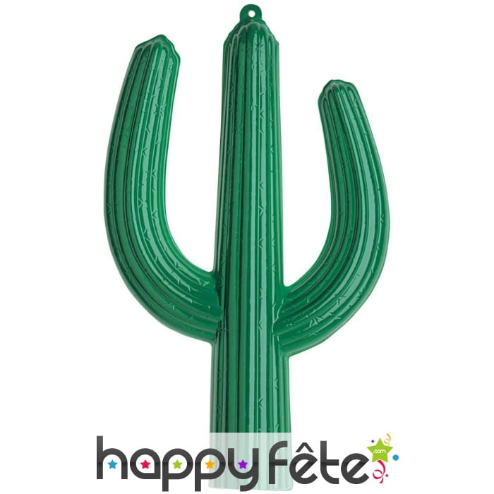 Cactus de décoration 3d en plastique