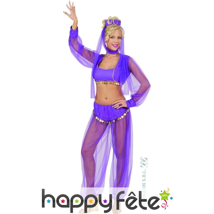 Costume de danseuse du ventre mauve