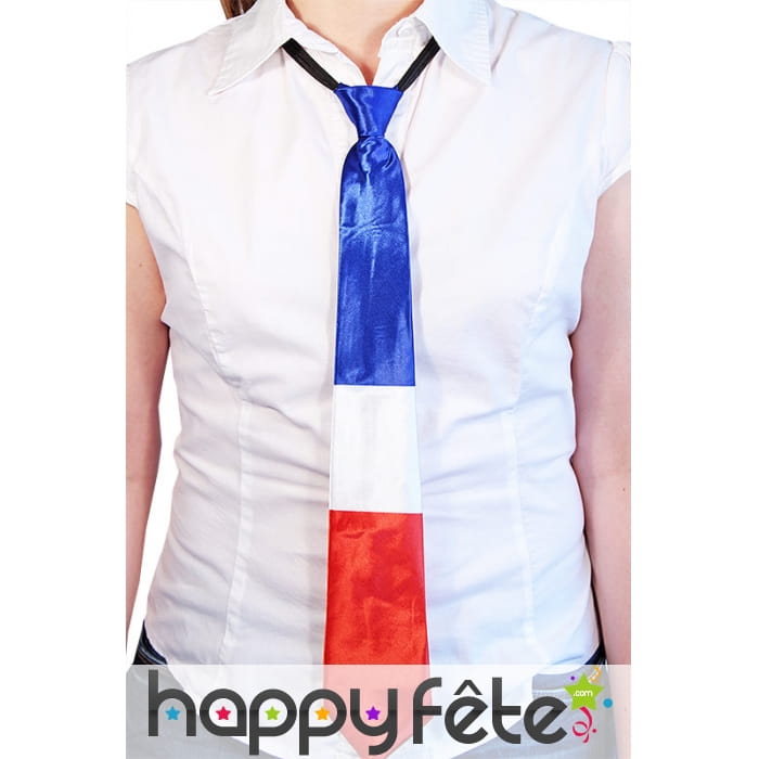 Cravate drapeaux de la France