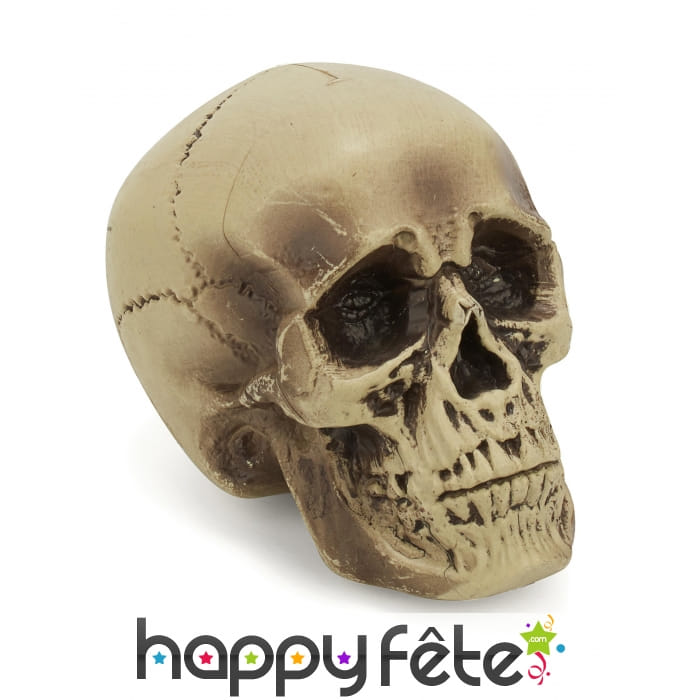 Crâne décoratif en plastique de 18cm