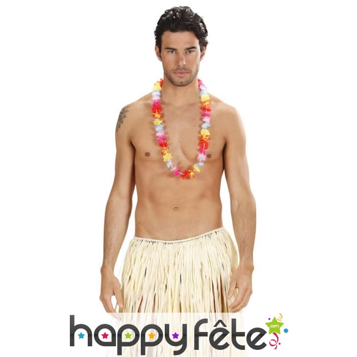 Collier de fleurs multicolores hawaiennes
