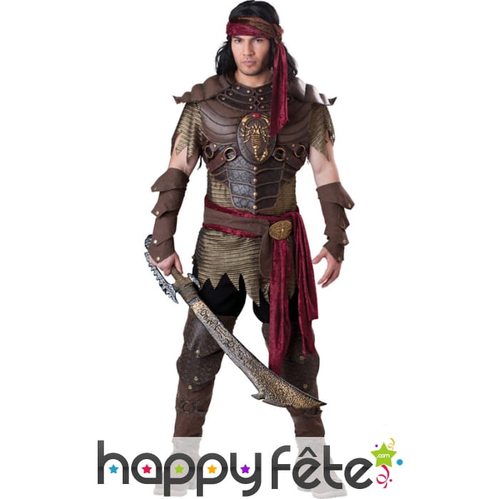 Costume de pirate haut de gamme