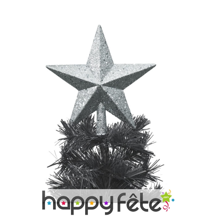 Cimier étoile argentée de 20cm