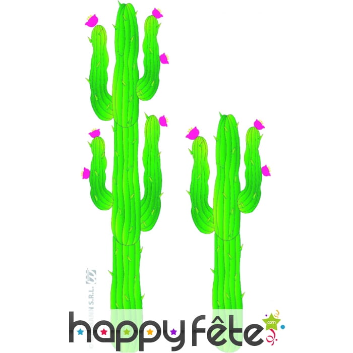 Cactus en carton