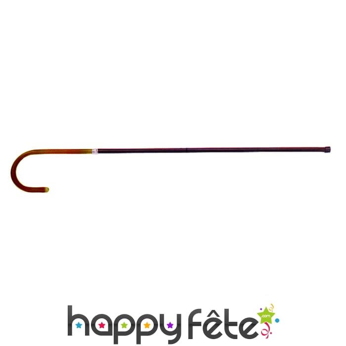 Canne en plastique noire