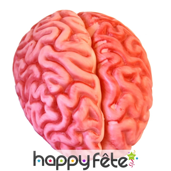 Cervelle en plastique