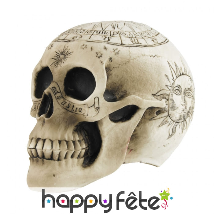 Crâne imprimés de motifs de sorcellerie, 18cm
