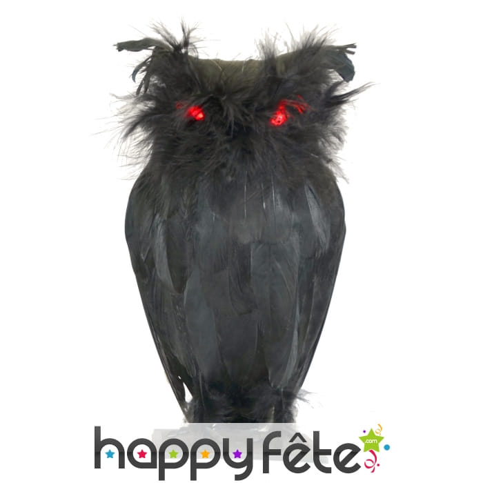 Chouette noire avec yeux lumineux
