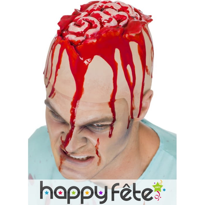 Calotte, perruque cervelle