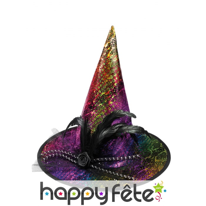 Chapeau pointu colorée et pailleté