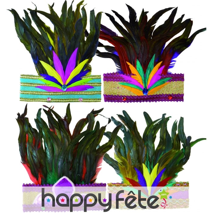 Couronne rio de janeiro à plumes