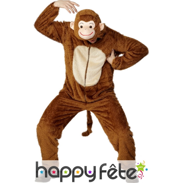 Costume singe