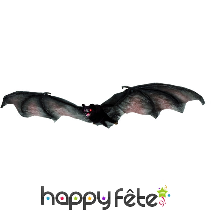 Chauve souris realiste