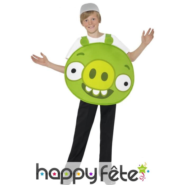 Déguisement Al Angry Birds