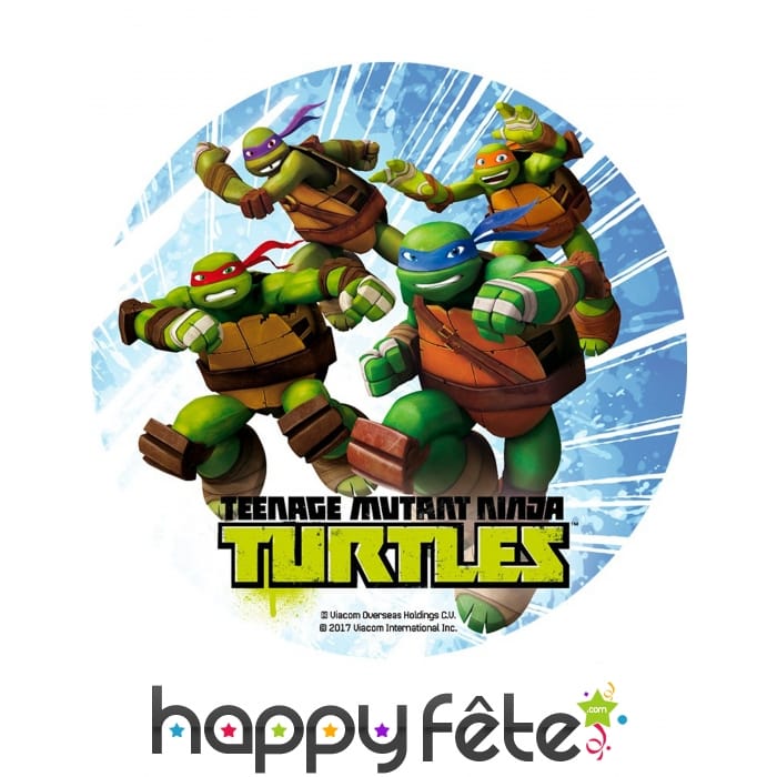 Disque azyme Tortues Ninja, 20 cm