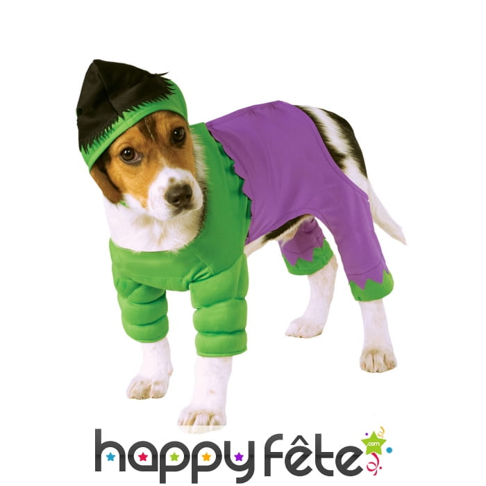 Déguisement de Hulk pour chien