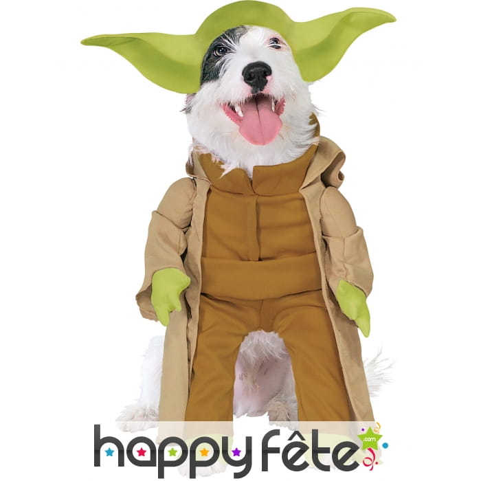 Déguisement de Maître Yoda pour chien