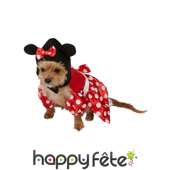 Déguisement de Minnie Mouse pour chien