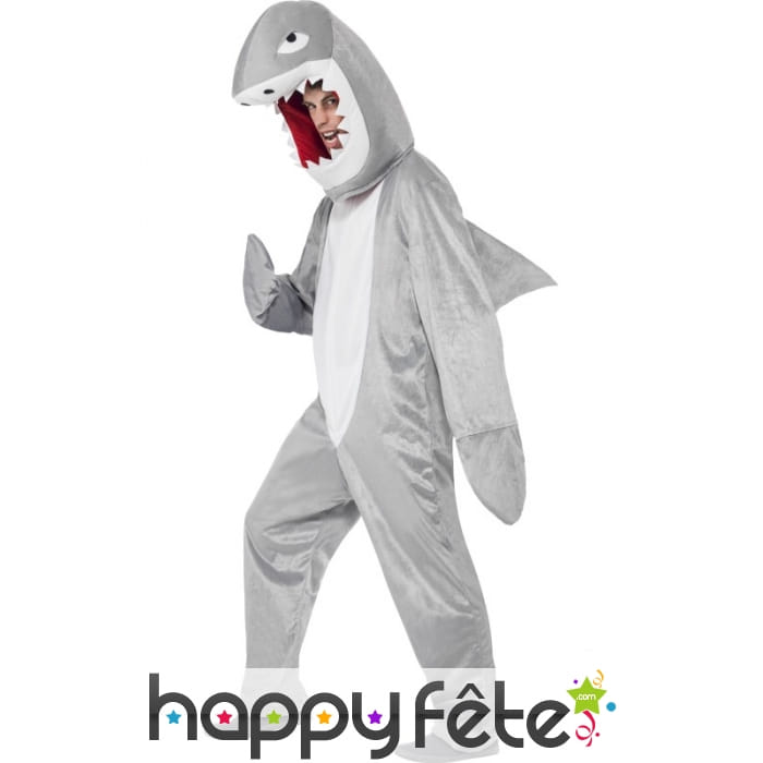 Déguisement de requin