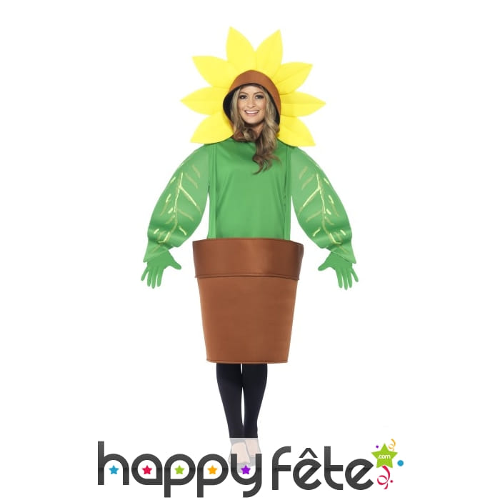 Déguisement de Tournesol