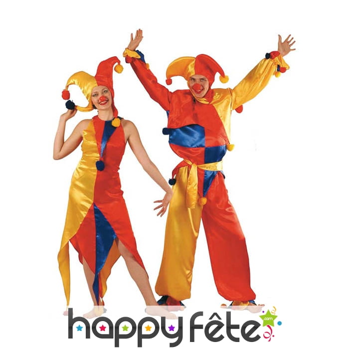 Déguissement fou du roi. homme