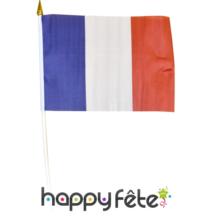 Drapeau France sur hampe