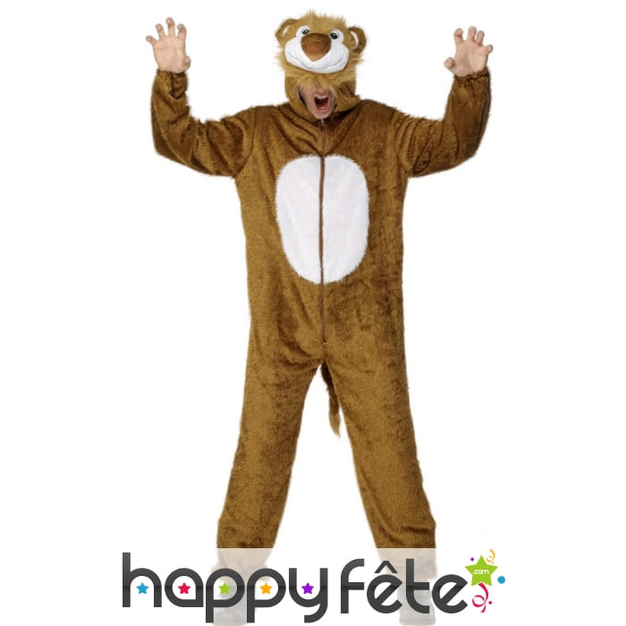 Déguisement lion