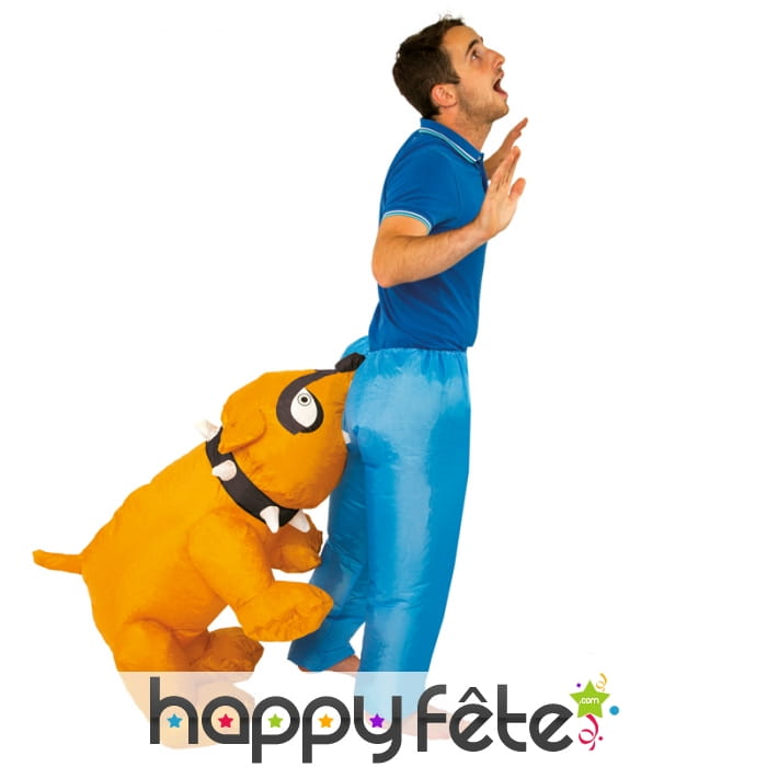 Déguisement mordu par un bouledogue