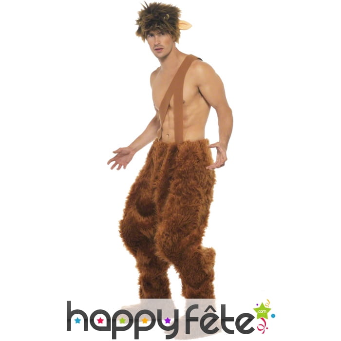 Déguisement pan