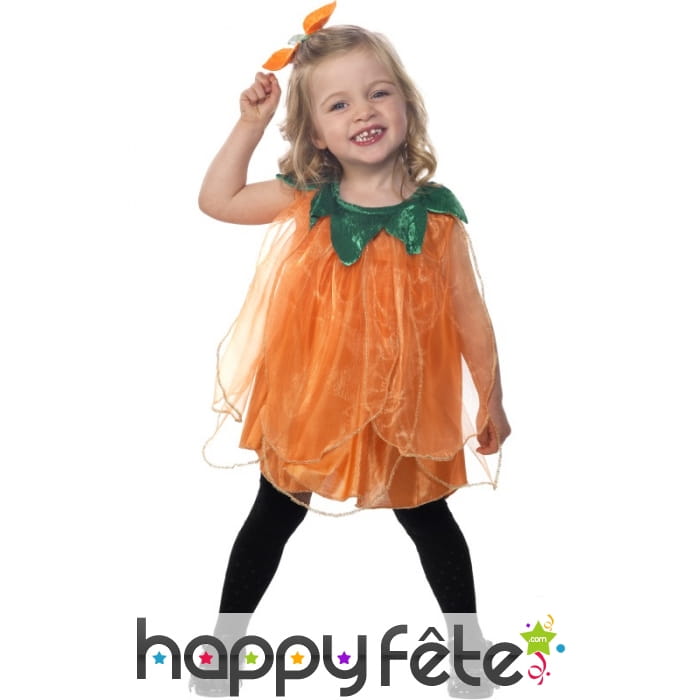 Déguisement princesse citrouille