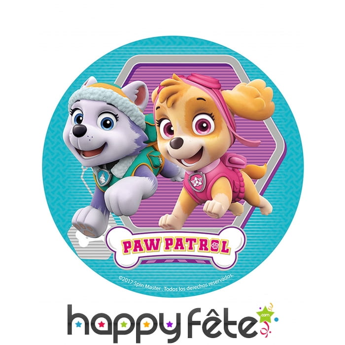 Disque Pat Patrouille Skye de 16cm en sucre