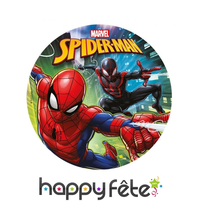 Disque Spiderman de 20cm en sucre