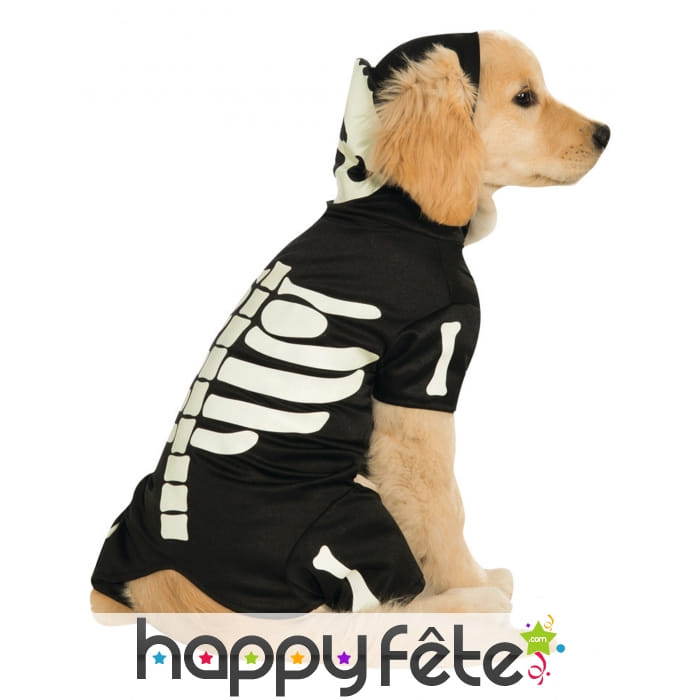 Déguisement squelette phosphorescent pour chien