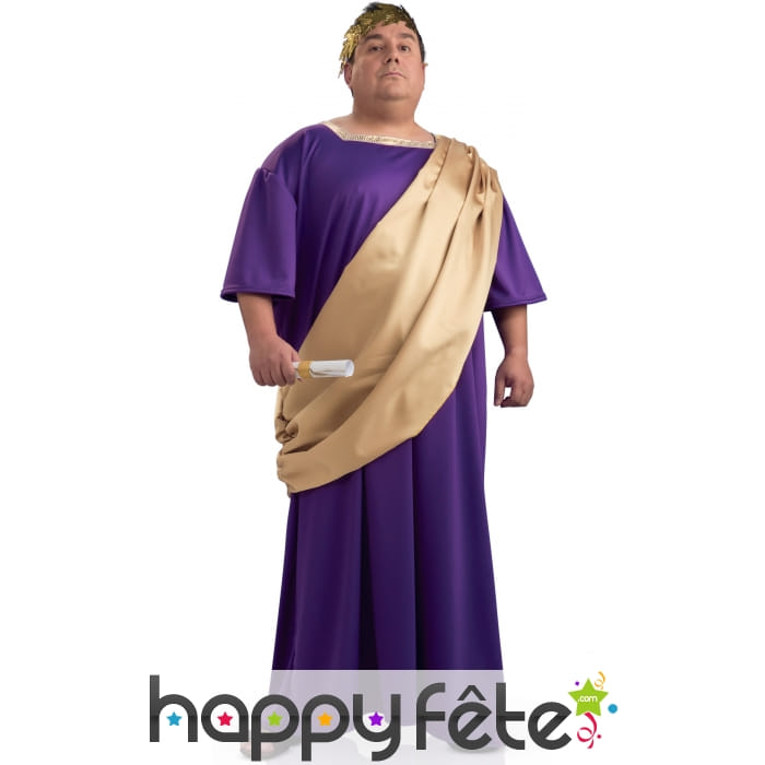 Déguisement violet de sénateur romain