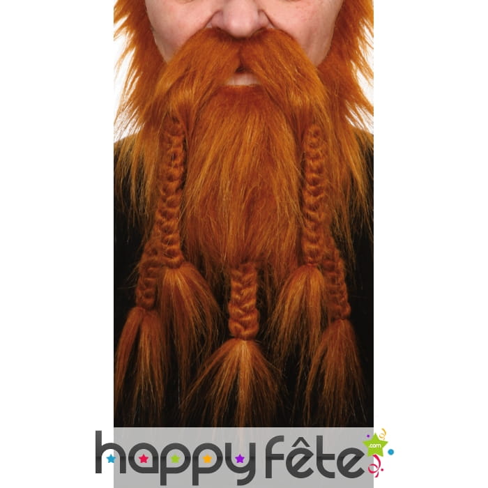 Ensemble barbe moustaches roux de vicking