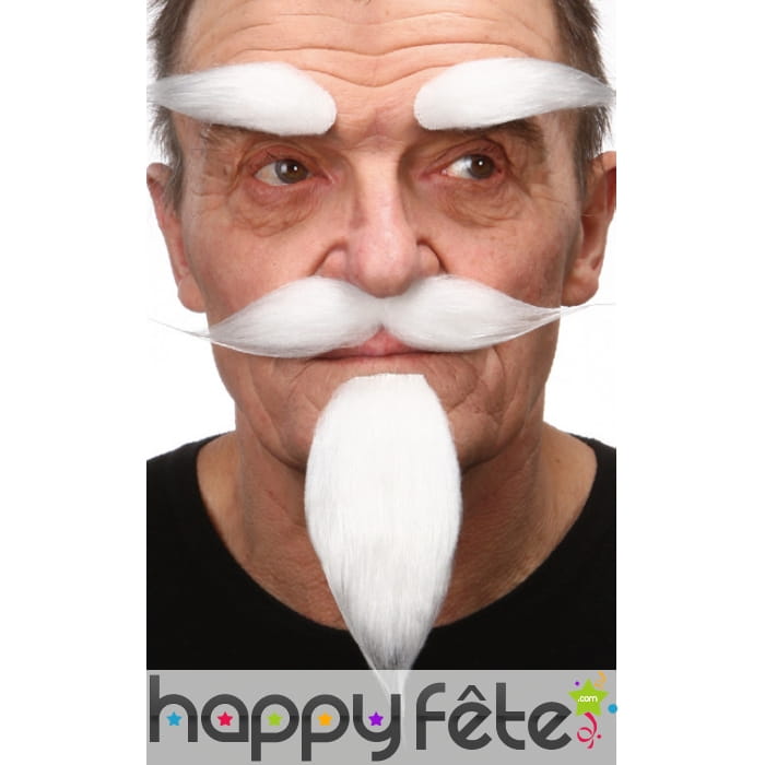 Ensemble barbichette, moustaches sourcils blancs