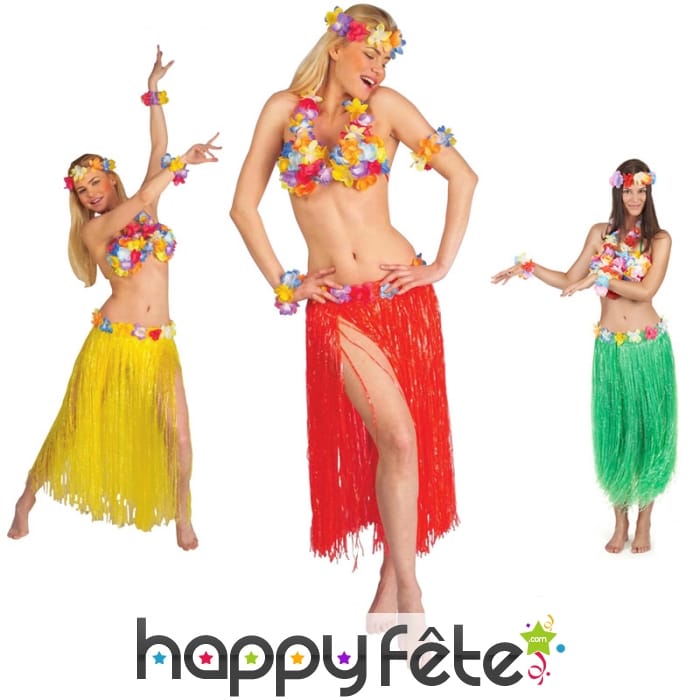 Ensemble de danseuse Hawaïenne