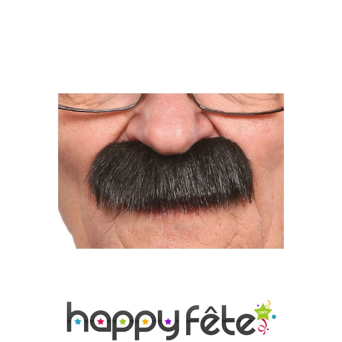 Epaisses fausses moustaches noires