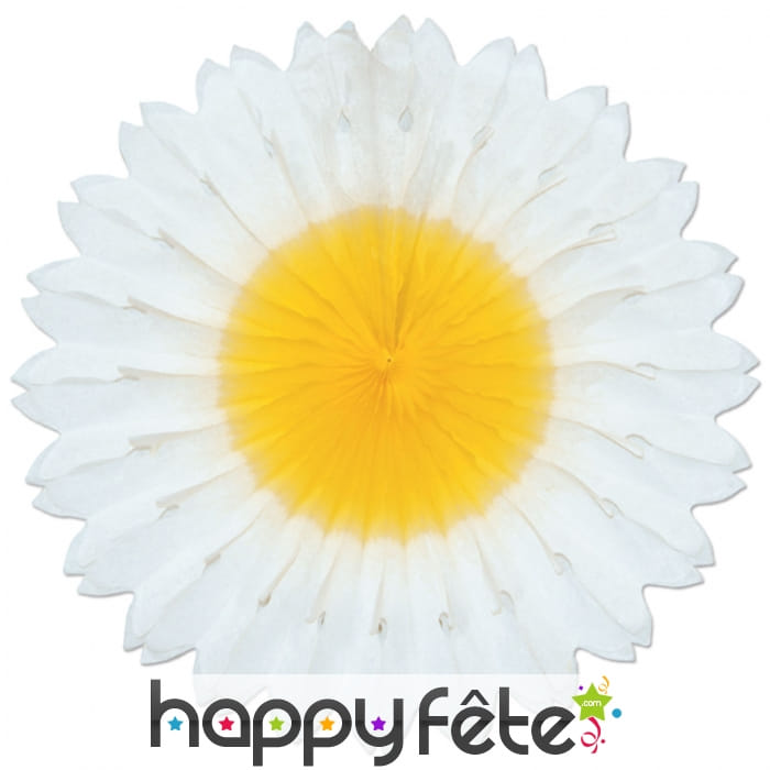 Eventail marguerite