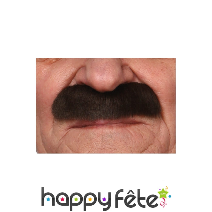 Epaisses moustaches brunes
