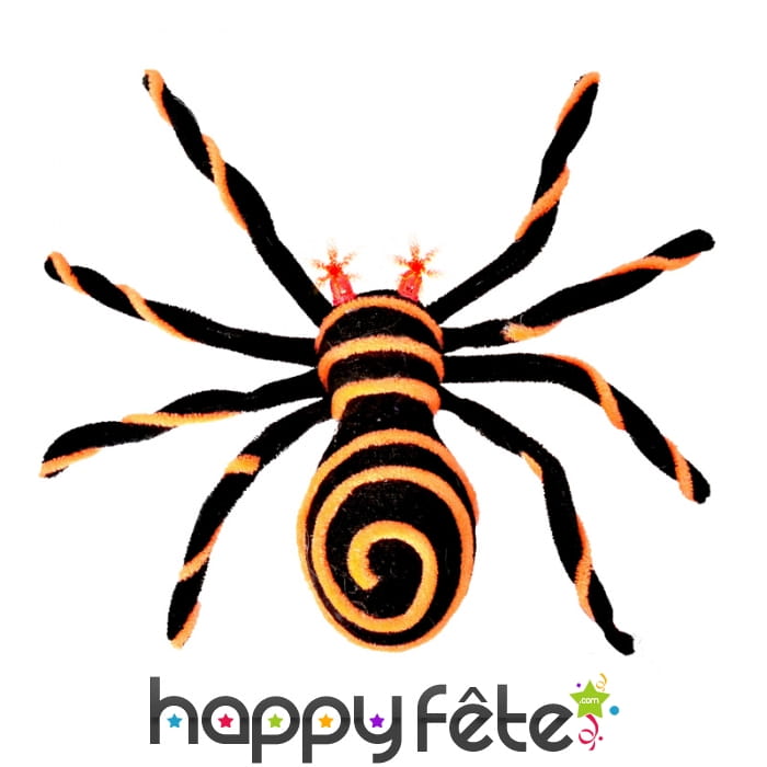 Enorme Mygale jaune et noir yeux lumineux