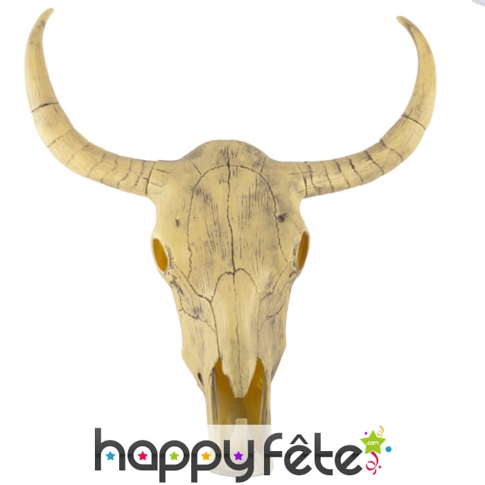 Faux crâne de bison
