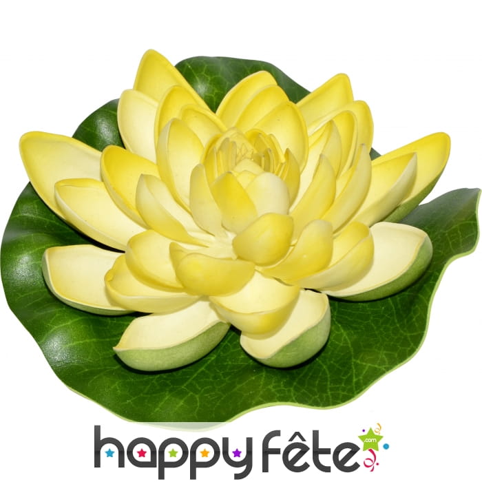 Fleur de lotus flottant