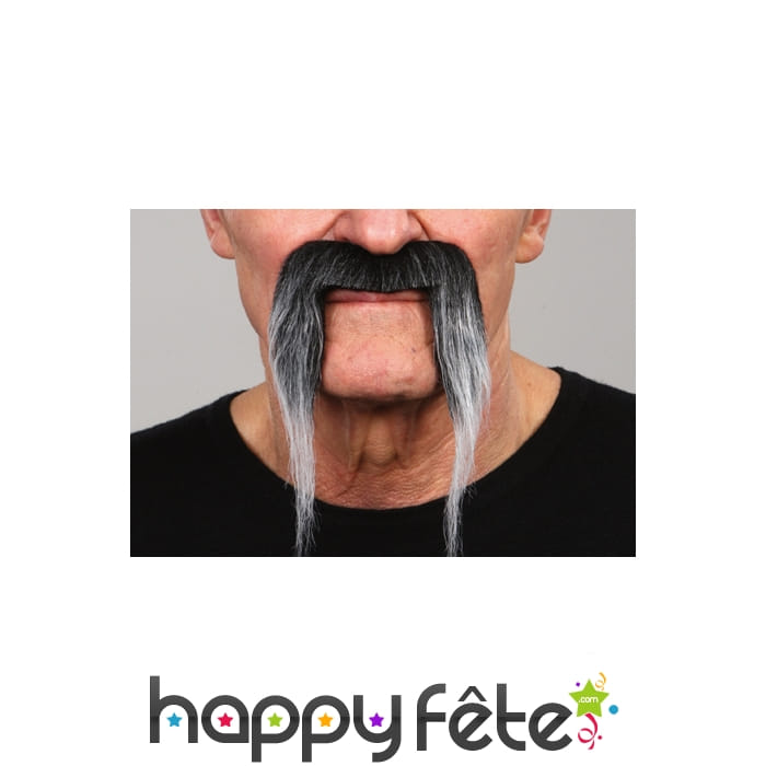 Fausses moustaches tombantes poivre et sel