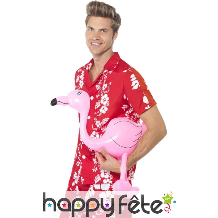 Flamand rose gonflable