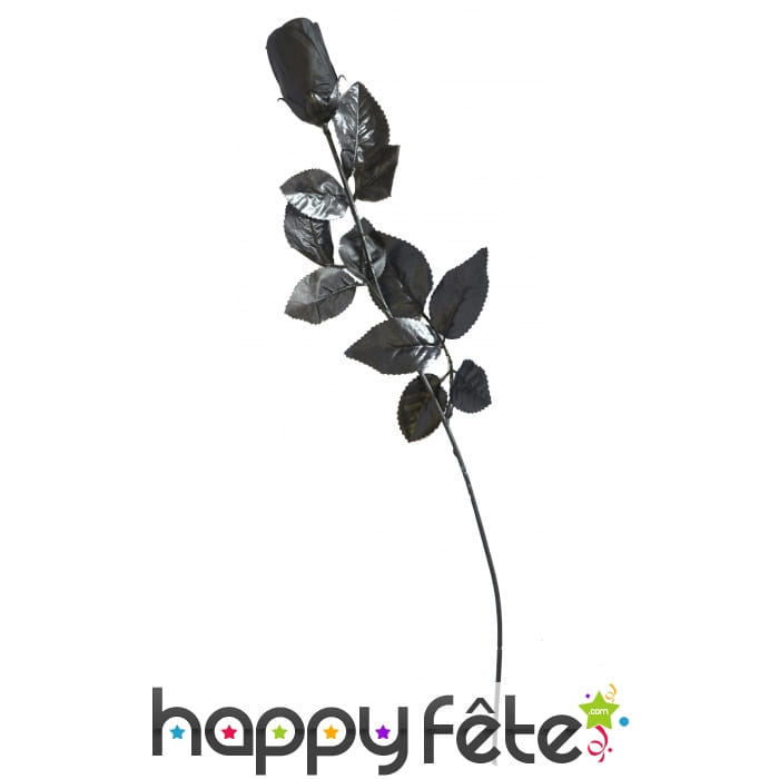 Fausse rose noire