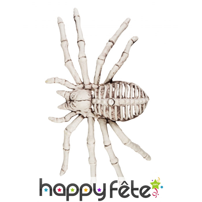 Faux Squelette d'araignée 24cm